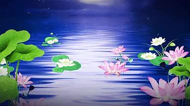 荷花月亮浪漫荷塘背景合成视频视频的预览图